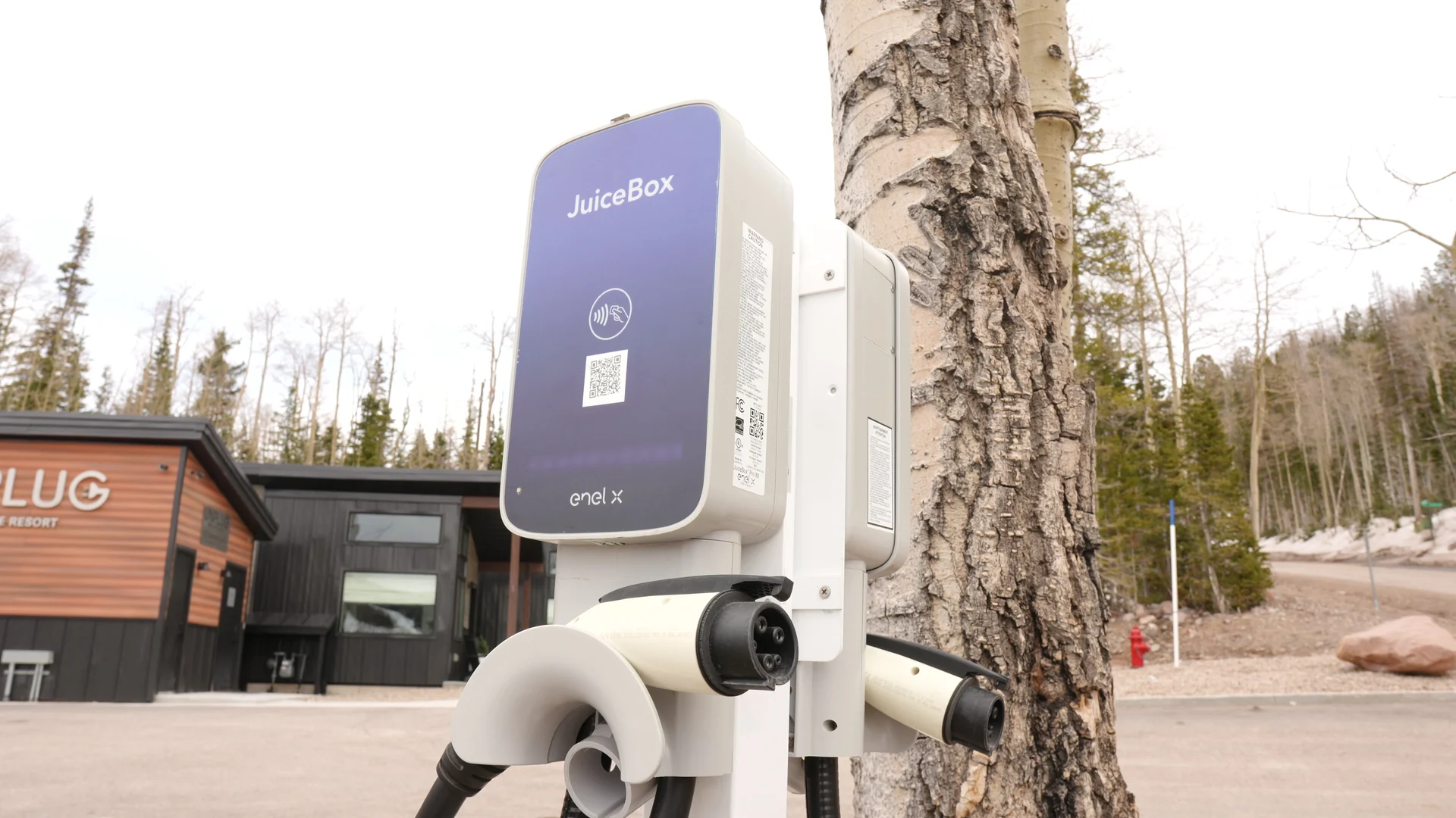 EV charging equipment and plugs beside an aspen tree, with the Unplug building and parking area behind.