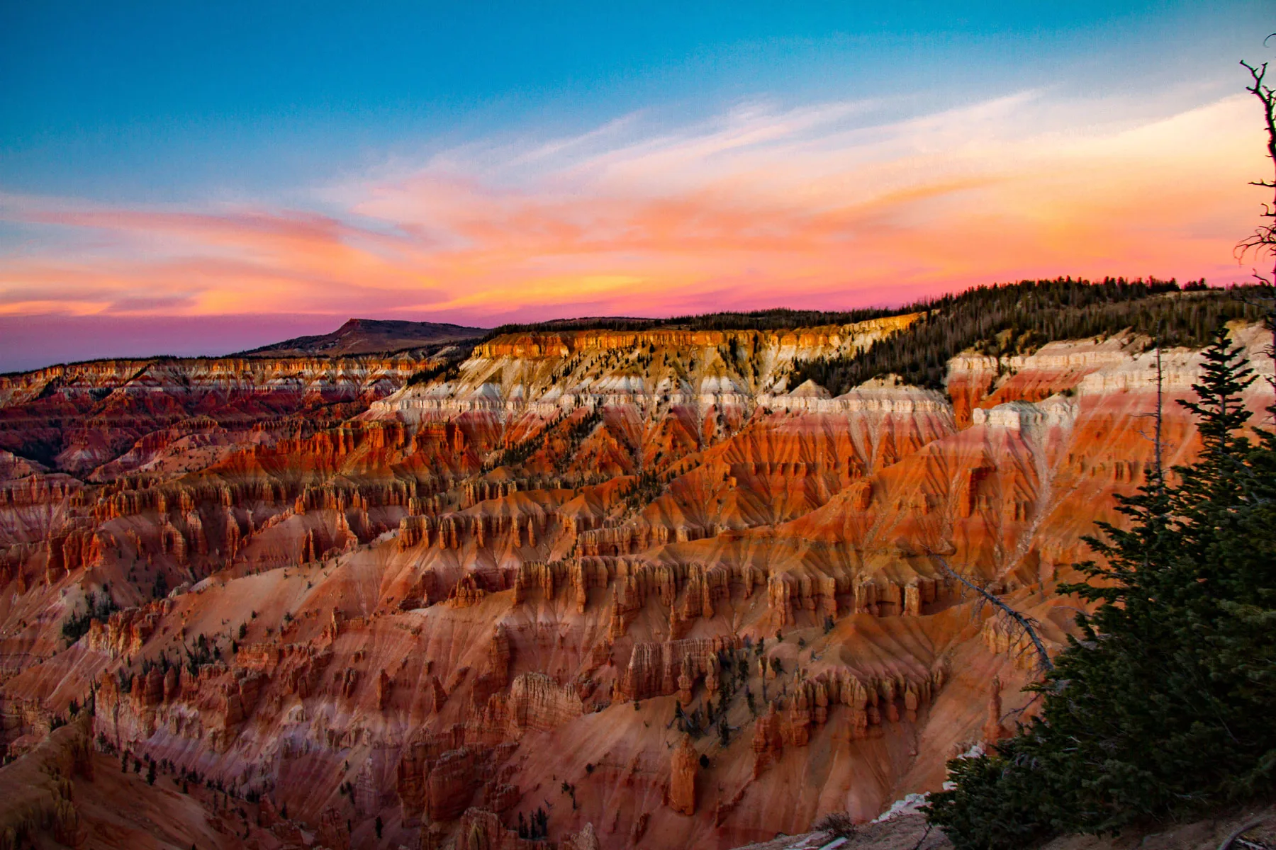 Rock amphitheater and forest at Cedar Breaks